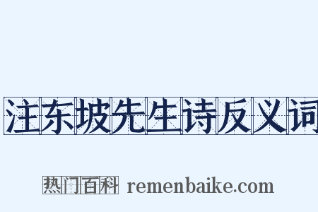 注东坡先生诗反义词是什么意思的图片